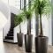 Simple wall plants decorating ideas15