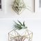 Simple wall plants decorating ideas17
