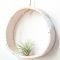 Simple wall plants decorating ideas18