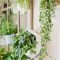 Simple wall plants decorating ideas19