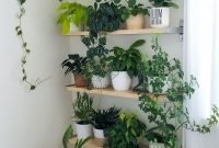 Simple wall plants decorating ideas23