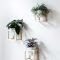 Simple wall plants decorating ideas34