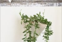Simple wall plants decorating ideas35