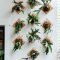 Simple wall plants decorating ideas38