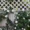 Awesome small garden fence ideas04