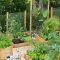 Brilliant vertical gardening ideas09