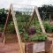 Brilliant vertical gardening ideas10