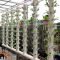 Brilliant vertical gardening ideas37