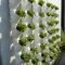Brilliant vertical gardening ideas38