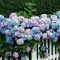 Pretty Floral Garden Decor Ideas26