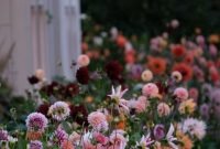 Pretty floral garden decor ideas32