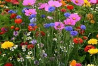Pretty floral garden decor ideas39