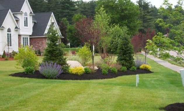 Cute front yard landscape ideas for 201939