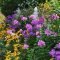 Extraordinary summer garden ideas just for you 17
