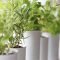 Superb indoor garden designs ideas for home24