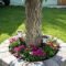 Amazing front yard landscaping ideas with low maintenance to try40