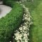 Awesome front yard landscaping ideas for your home this year26