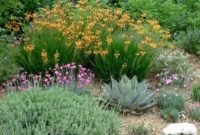 Awesome front yard landscaping ideas for your home this year32