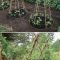 Inspiring garden ideas that are suitable for your home35