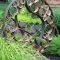 Inspiring outdoor metal design ideas for garden art you must try02