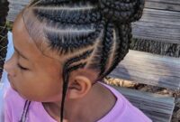 Hairstyles for girls black braids natural hair