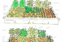 Planning a herb garden uk