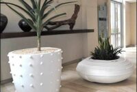 Big ceramic pots for indoor plants