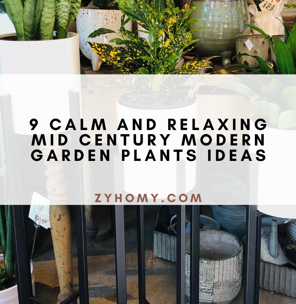 9 calm and relaxing mid century modern garden plants ideas
