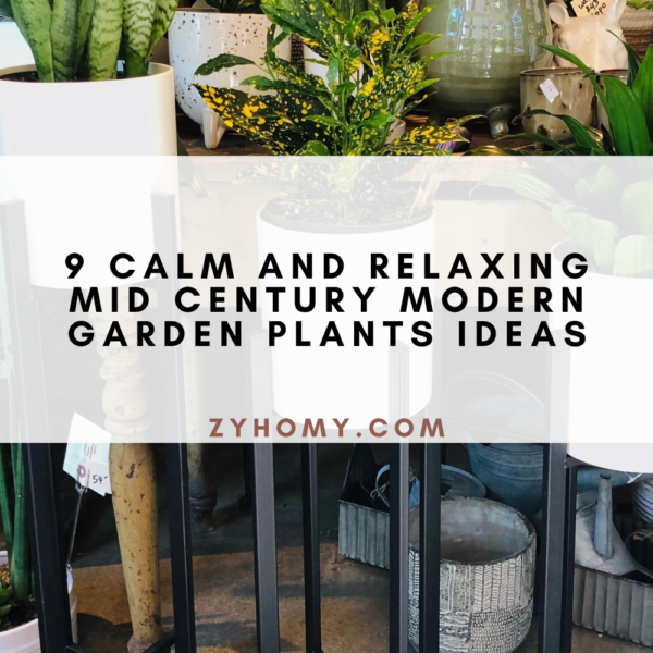 9 calm and relaxing mid century modern garden plants ideas