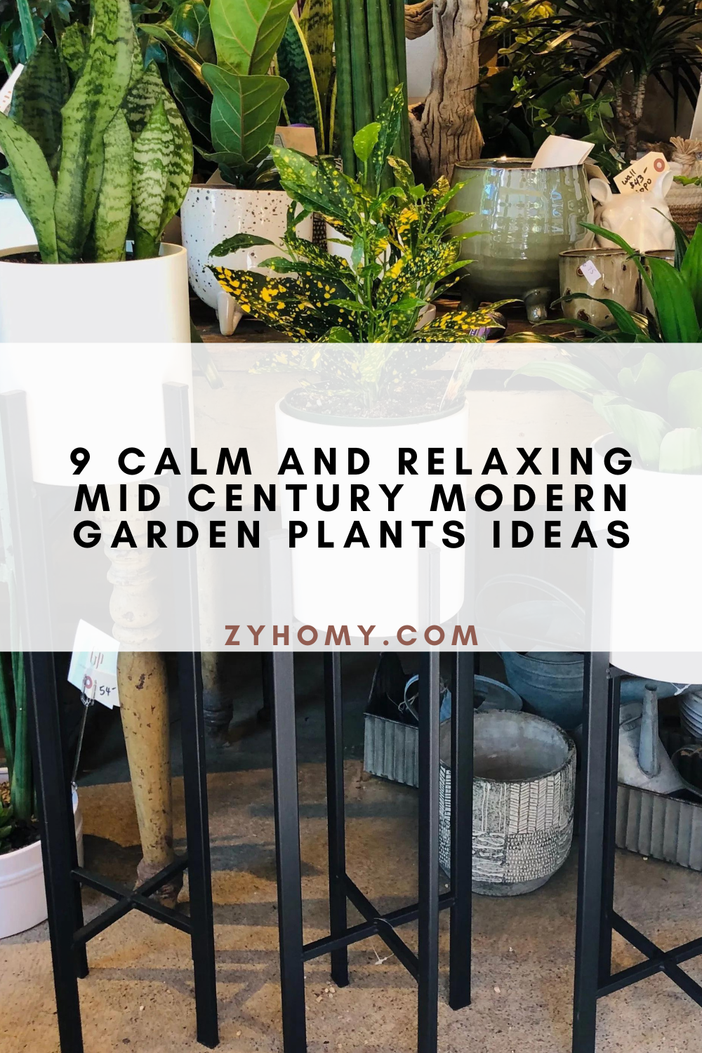 9 Calm and Relaxing Mid Century Modern Garden Plants Ideas