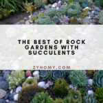 The-best-of-rock-gardens-with-succulents