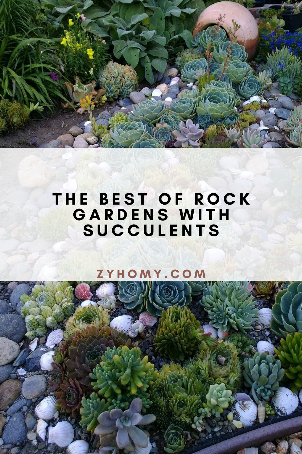 The Best Of Rock Gardens With Succulents