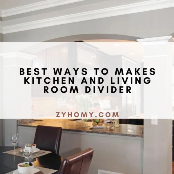 Best Ways To Makes Kitchen And Living Room Divider